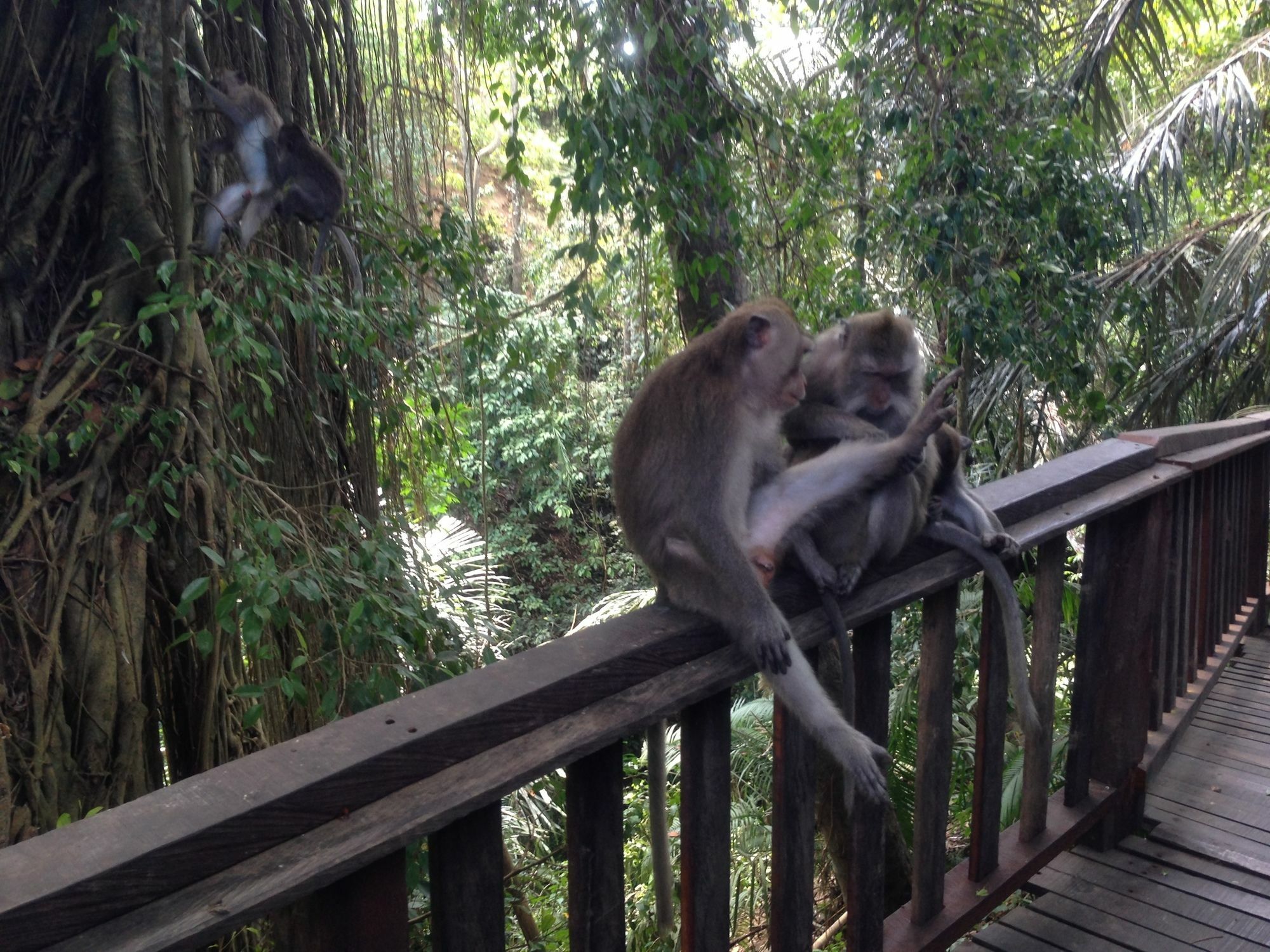 Mano House Daire Ubud Dış mekan fotoğraf